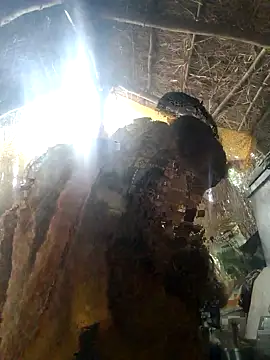 Snapshot of LUCKY_cut chatting on 22, 11, 2025 LUCKY cut online show from 22, 11, 2025