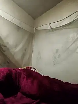 siki-00 online show from 7, 1, 2026