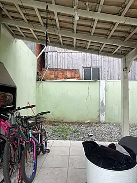 cat9269 online show from 26, 11, 2025