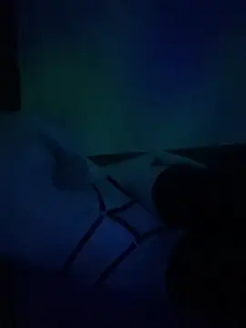 gjollyros online show from 18, 2, 2026