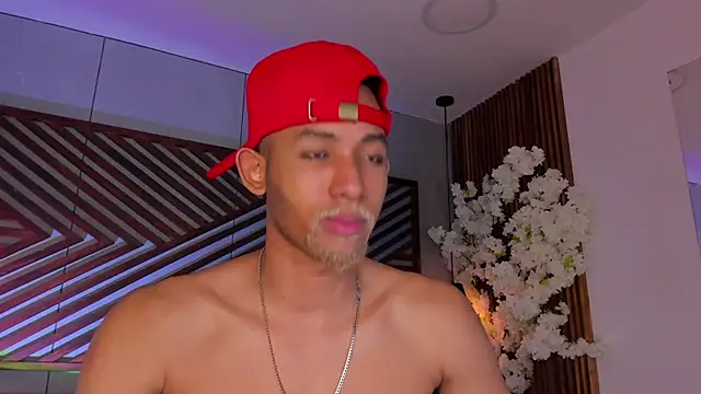 B Wild online show from 26, 11, 2025