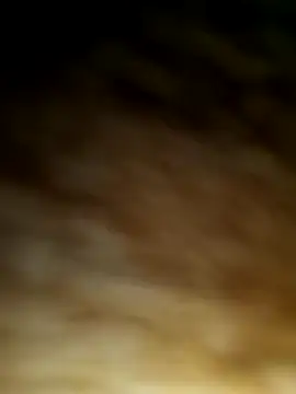 WolfMenSL online show from 8, 10, 2025