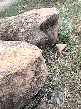 Snapshot of Ag_punam chatting on 16, 11, 2025 Ag punam online show from 16, 11, 2025