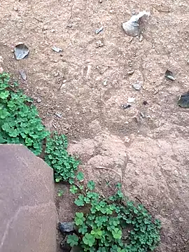 Snapshot of Ag_punam chatting on 10, 2, 2026 Ag punam online show from 10, 2, 2026