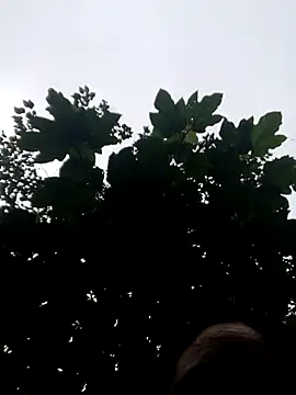 kemtuoi-sex online show from 19, 10, 2025