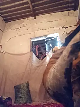 Snapshot of Notyriya7 chatting on 12, 4, 2026 Notyriya7 online show from 12, 4, 2026