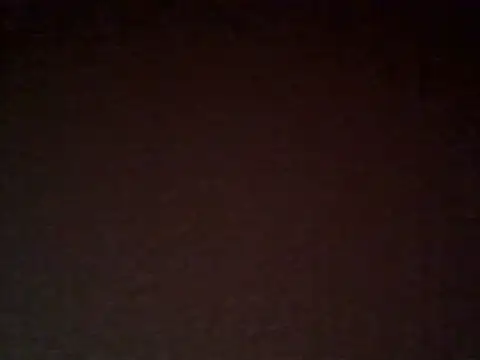 zwizwih online show from 17, 9, 2025