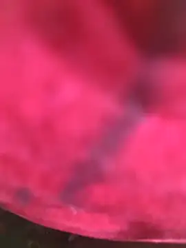 Snapshot of Chanderi19 chatting on 3, 12, 2025 Chanderi19 online show from 3, 12, 2025