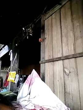 Samdim23 online show from 2, 10, 2025