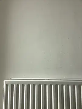 Snapshot of dlasian2026 chatting on 31, 10, 2025 dlasian2026 online show from 31, 10, 2025