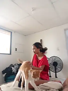 KH47 online show from 14, 12, 2025