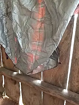 bonnie-00 online show from 4, 11, 2025