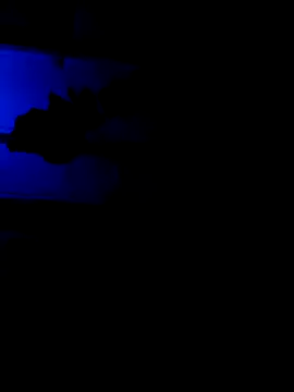 sonali134 online show from 2, 2, 2026