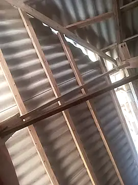 Vuong x online show from 25, 11, 2025