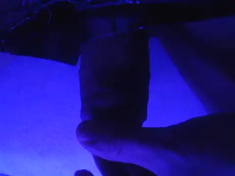 novinzs019 online show from 13, 9, 2025