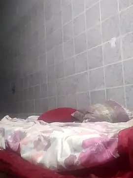 Cachorrinha2025 online show from 24, 10, 2025