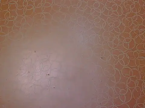 Snapshot of soniya_babby chatting on 23, 11, 2025 soniya babby online show from 23, 11, 2025