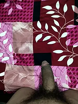 bold guy 1234 online show from 22, 10, 2025