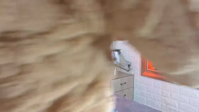 sofiagutierrez   online show from 9, 10, 2025