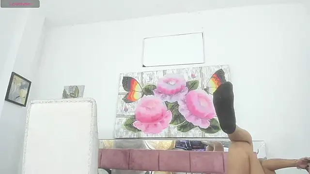 barbie ds online show from 21, 11, 2025