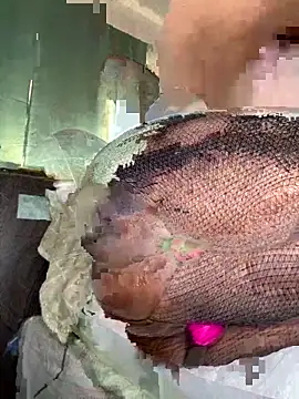 foreigntitts  online show from 20, 3, 2026