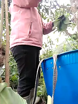 Biu xx online show from 3, 2, 2026