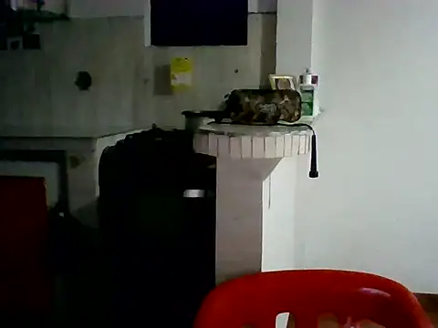 XavierFox1 online show from 18, 11, 2025