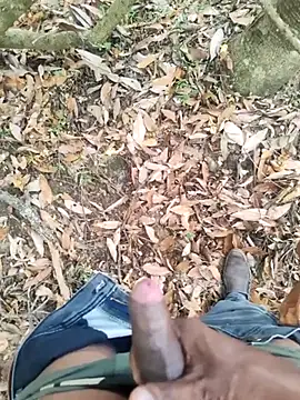 Snapshot of DICKLANKA chatting on 27, 9, 2025 DICKLANKA online show from 27, 9, 2025