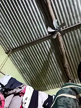 Haliya88 online show from 28, 2, 2026