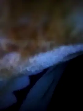 alone boy802 online show from 5, 11, 2025