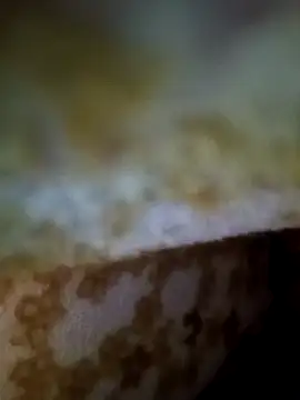 alone boy802 online show from 9, 11, 2025