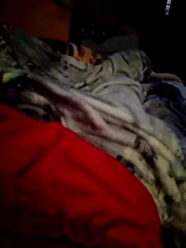 SALCEDO 041198 online show from 14, 11, 2025