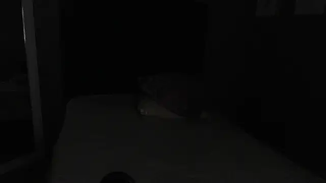 Snapshot of Vic_Taylor chatting on 7, 11, 2025 Vic Taylor online show from 7, 11, 2025