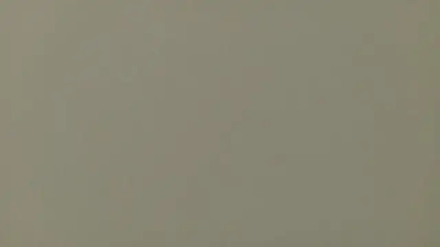 Nallah  online show from 24, 3, 2026