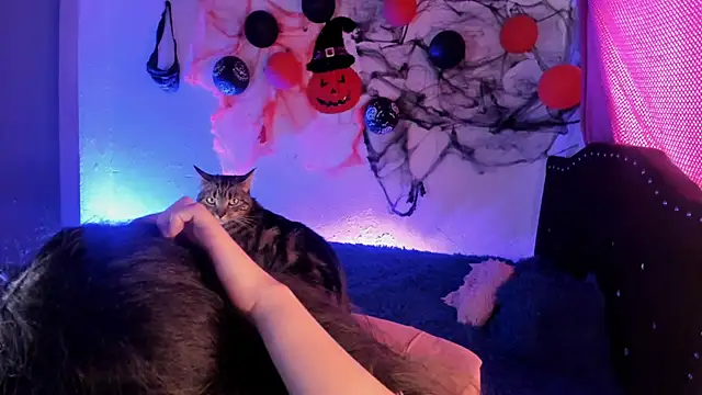 kitty  chs online show from 1, 11, 2025