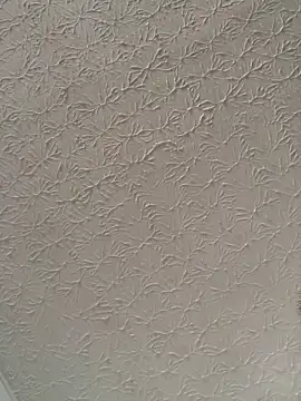 big bearr online show from 7, 11, 2025