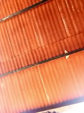 Goofygoody17 online show from 8, 2, 2026