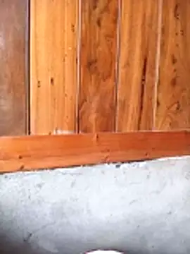 Mai lovely online show from 27, 2, 2026