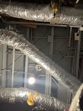 Snapshot of wwolfxxx chatting on 10, 4, 2026 wwolfxxx online show from 10, 4, 2026