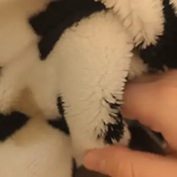 Geilerboy262 online show from 15, 11, 2025