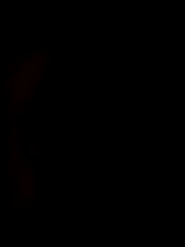 redrose520 online show from 12, 11, 2025