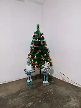 Snapshot of fabulousgirl chatting on 16, 12, 2025 fabulousgirl online show from 16, 12, 2025