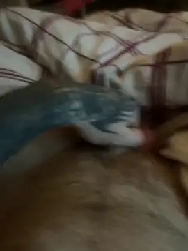 Thebald-topher online show from 28, 9, 2025