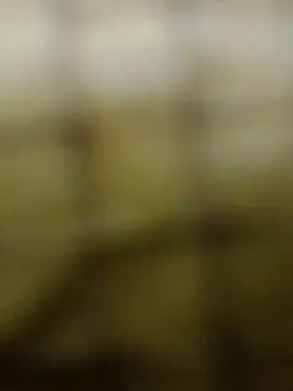 Rs sonam online show from 3, 12, 2025