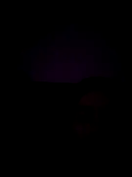 haze1233 online show from 29, 10, 2025