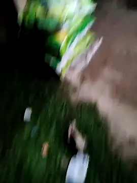 Your seema 208 online show from 14, 10, 2025