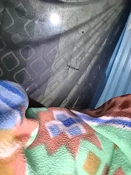 sam salman online show from 9, 10, 2025