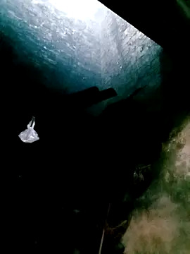 mntzz88 online show from 31, 10, 2025