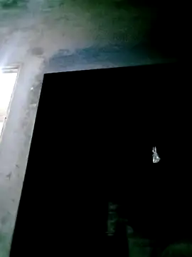 mntzz88 online show from 4, 11, 2025