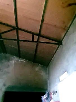 mntzz88 online show from 20, 11, 2025